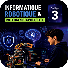 Icone : Informatique Robotique et Intelligence Artificielle au collège 3